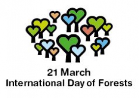 Gearing up for International Day of Forests